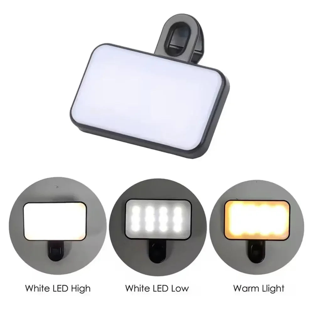 Blush Portable Phone Light