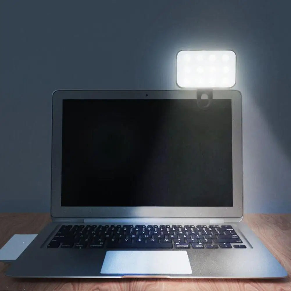Blush Portable Phone Light