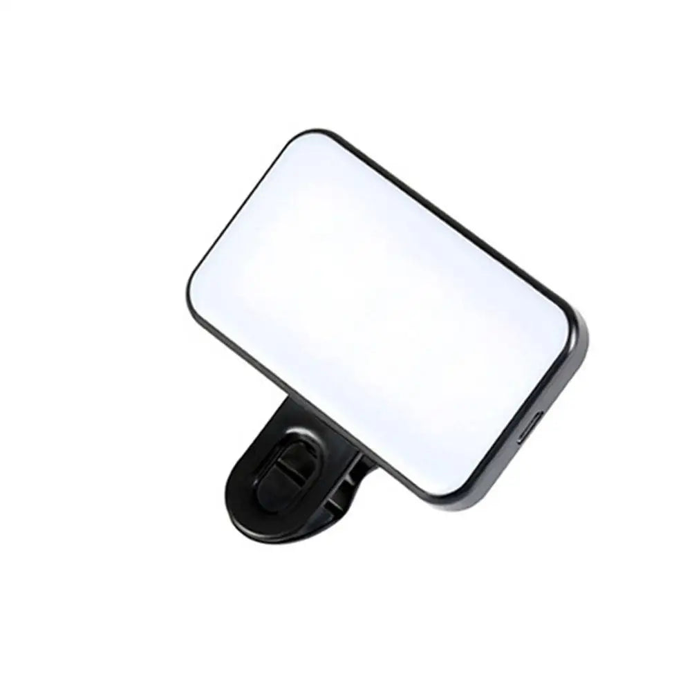 Blush Portable Phone Light