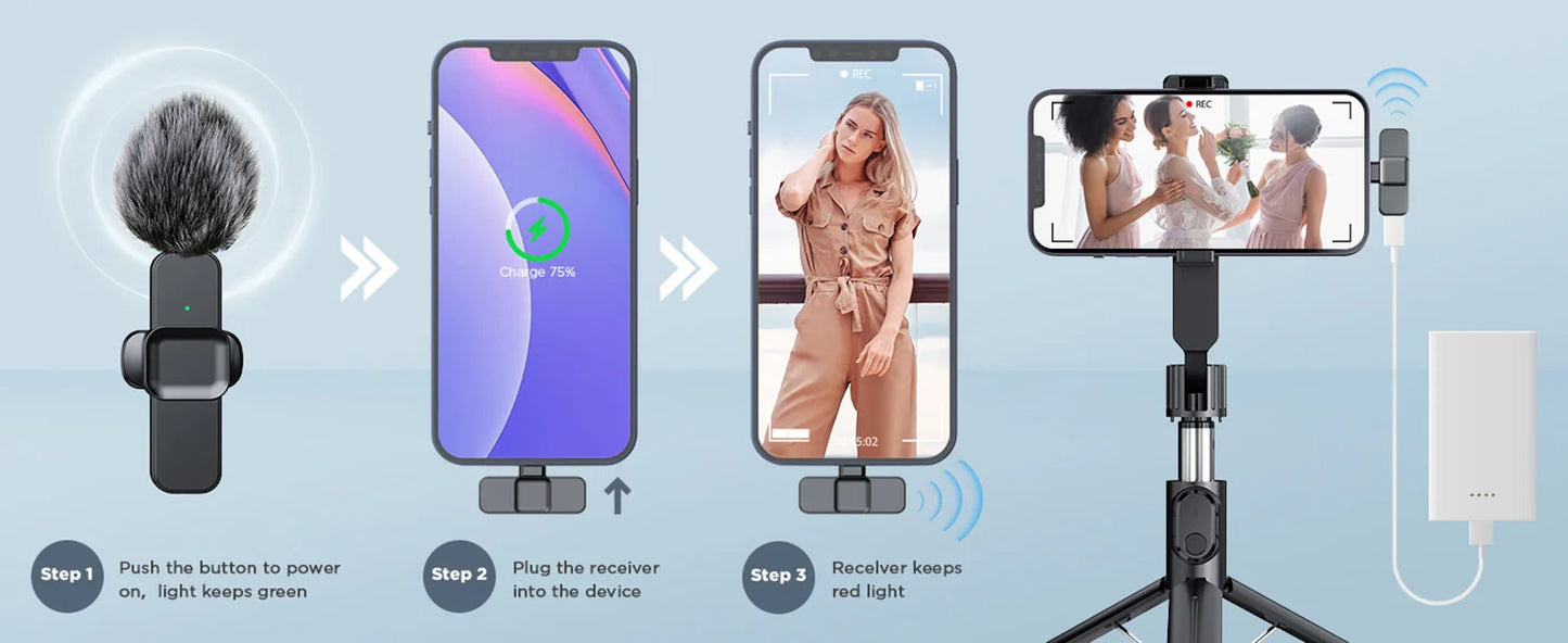 Blush Portable Mini Microphone