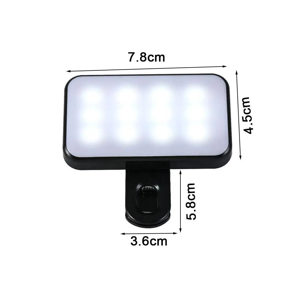 Blush Portable Phone Light