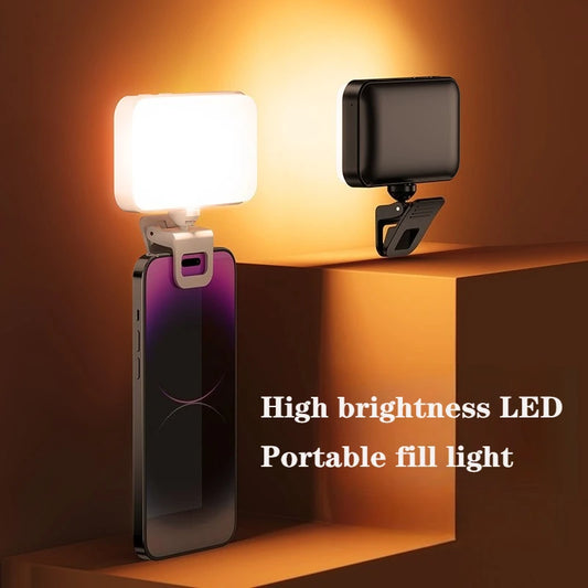 Blush Portable Phone Light