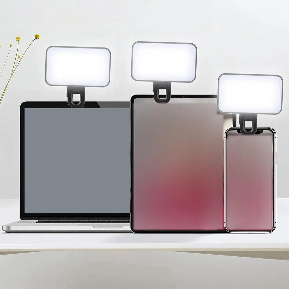 Blush Portable Phone Light