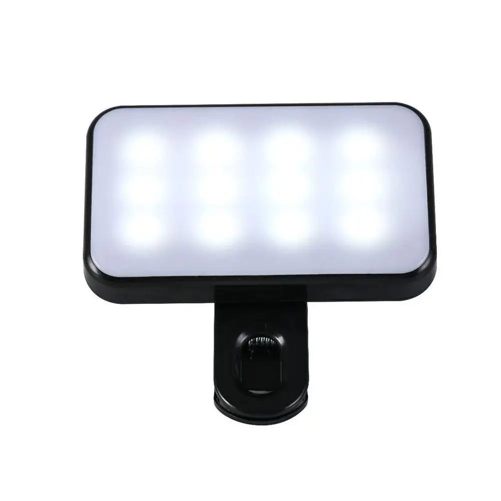 Blush Portable Phone Light