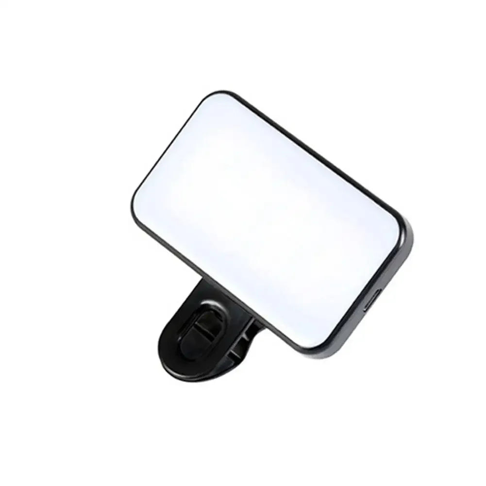 Blush Portable Phone Light