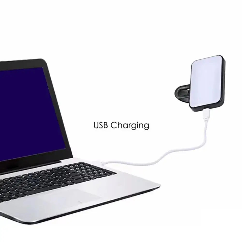 Blush Portable Phone Light