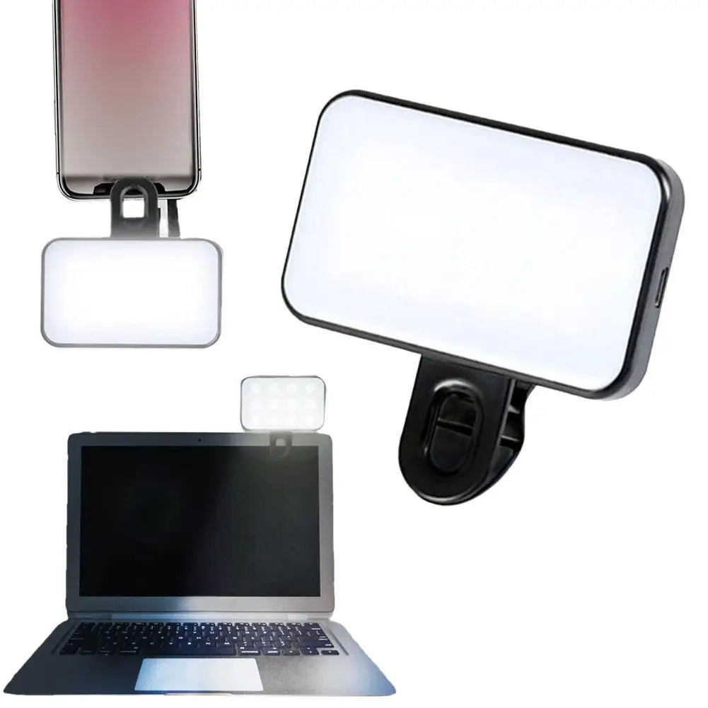 Blush Portable Phone Light